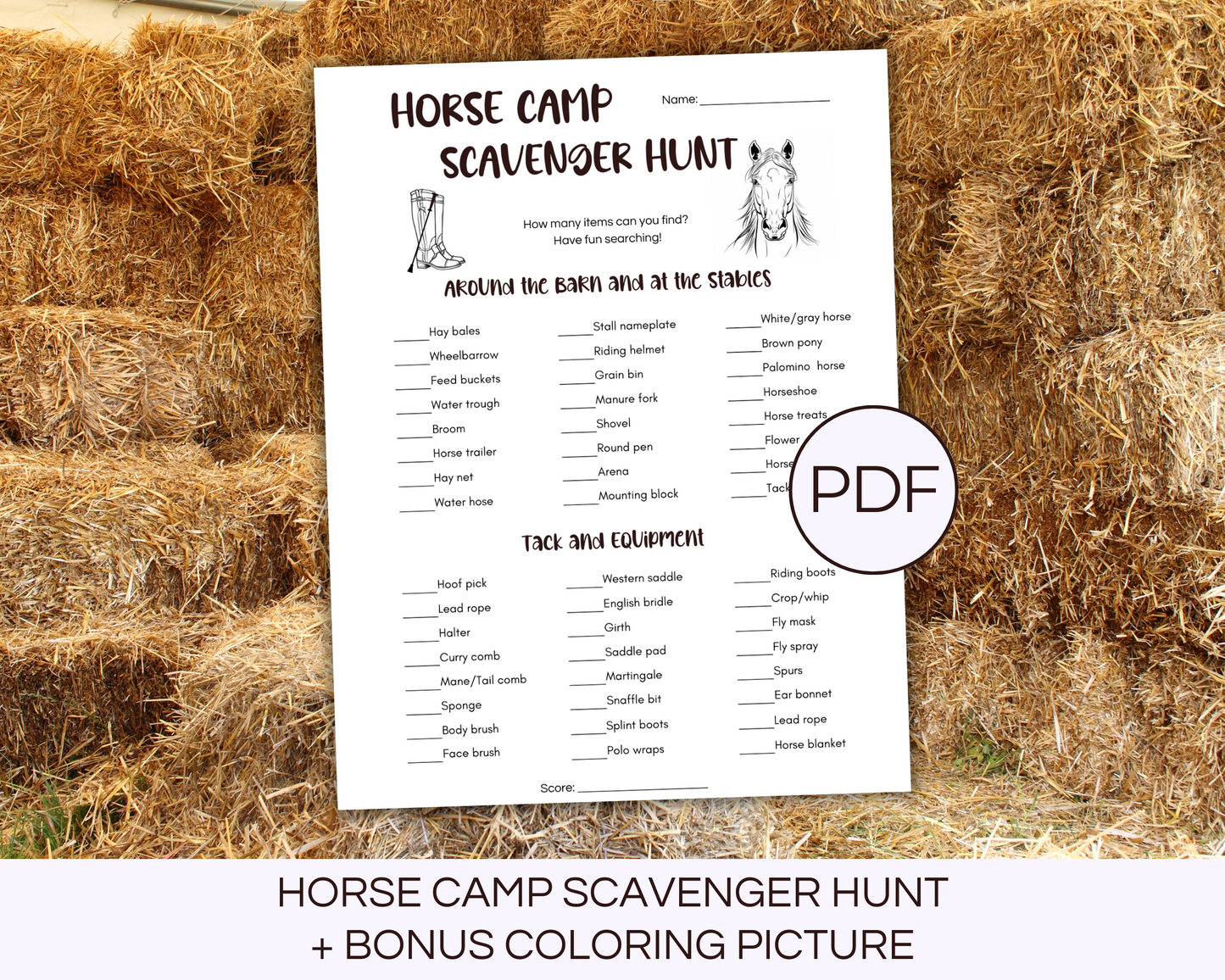 Printable Horse Camp Scavenger Hunt Game