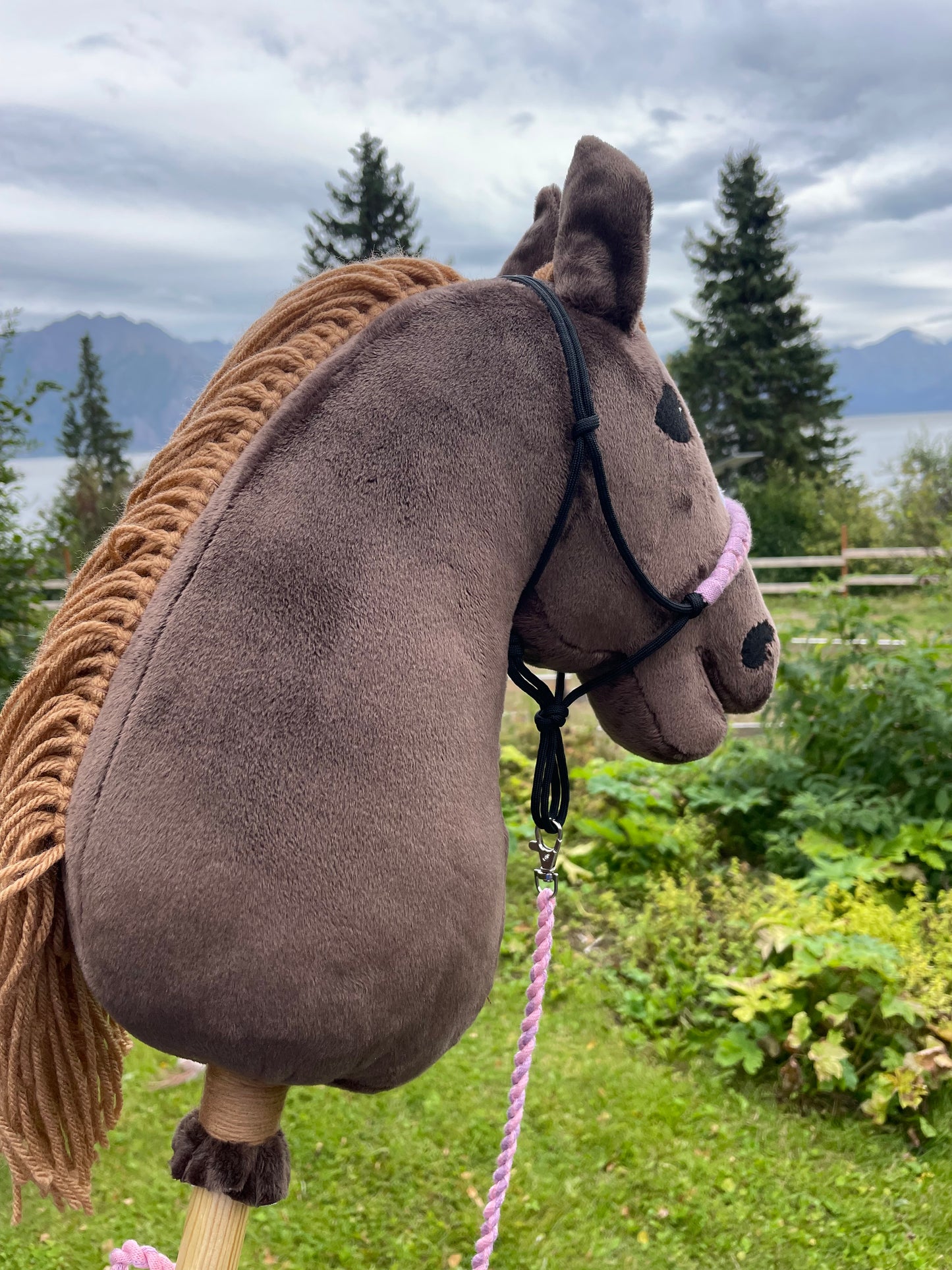 Brown plush hobby horse toy on a grassy background. Horse has a rope halter on. It has pink and purple on it. Horse looks away.