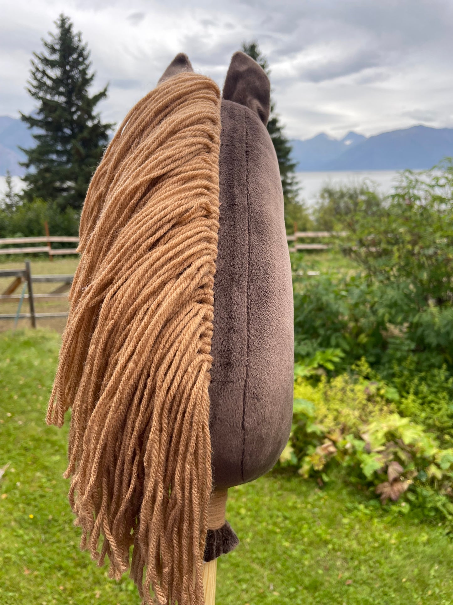 Brown plush hobby horse toy on a grassy background. Horse looks away.