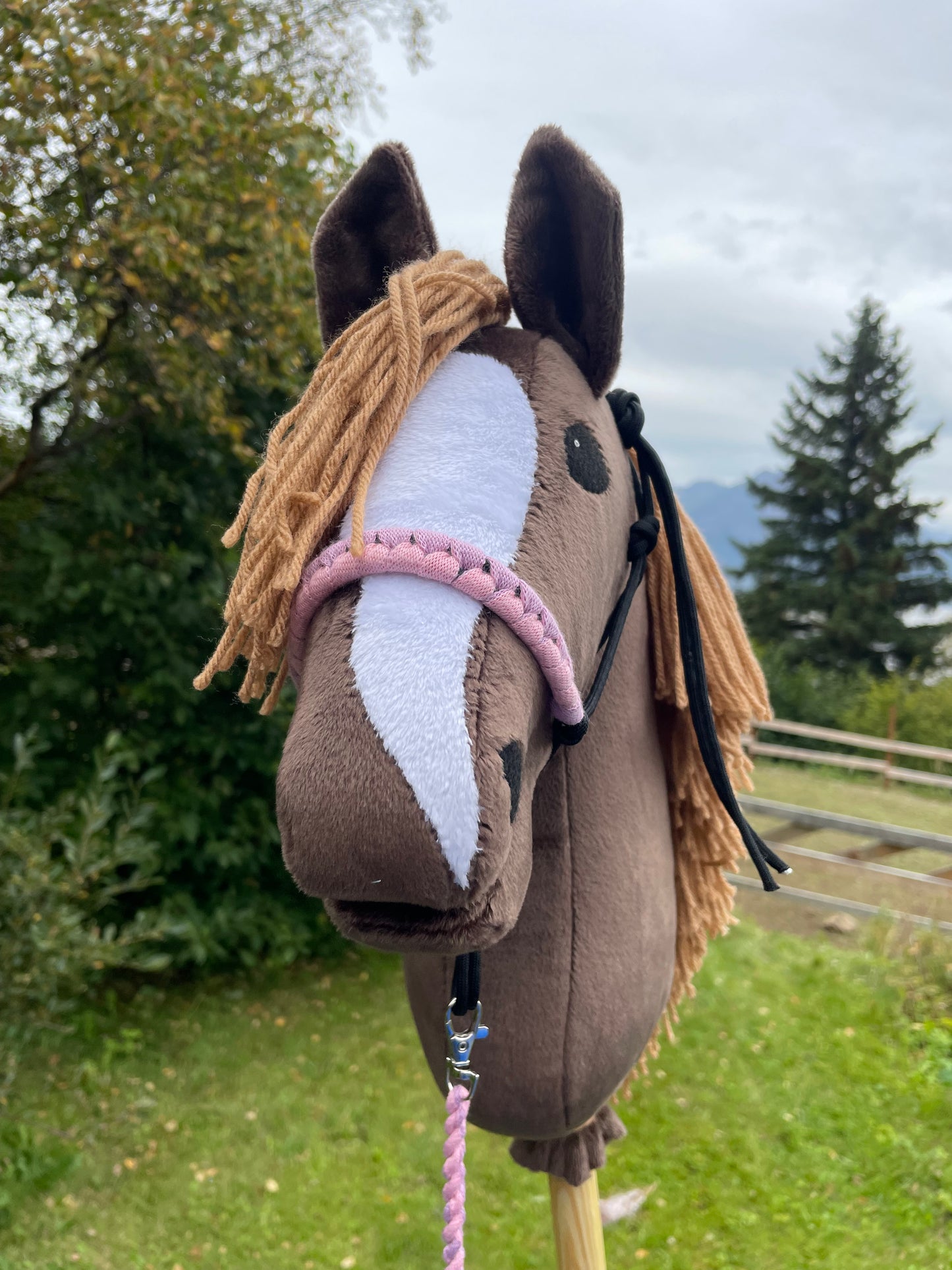 Brown plush hobby horse toy on a grassy background. Horse has a rope halter on. It has pink and purple on it.