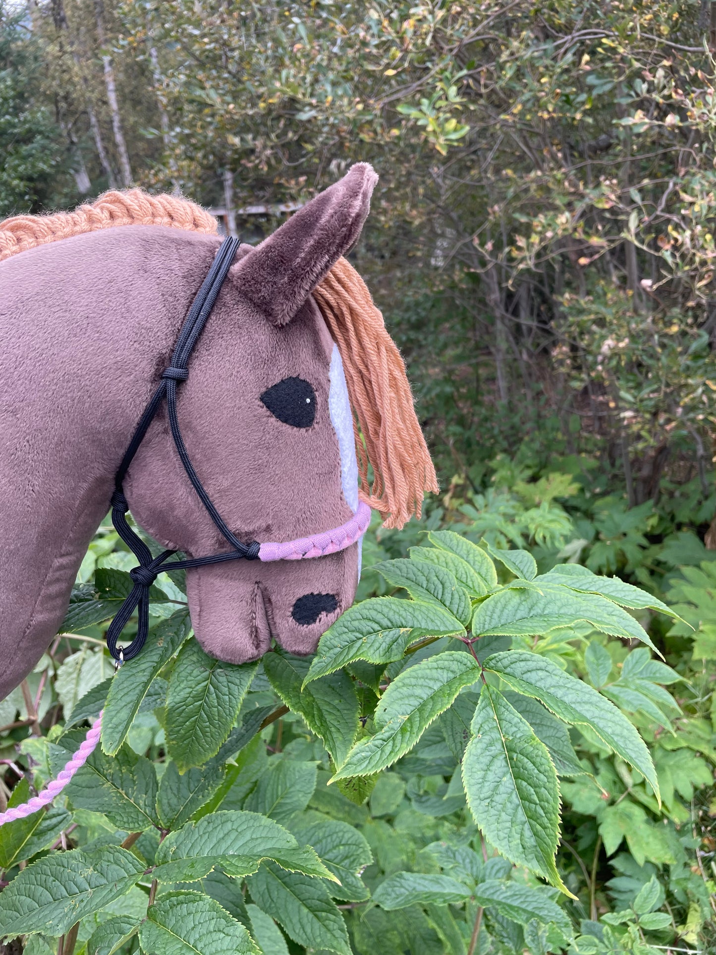 Brown plush hobby horse toy on a grassy background with leaves. Horse has a rope halter on. It has pink and purple on it.