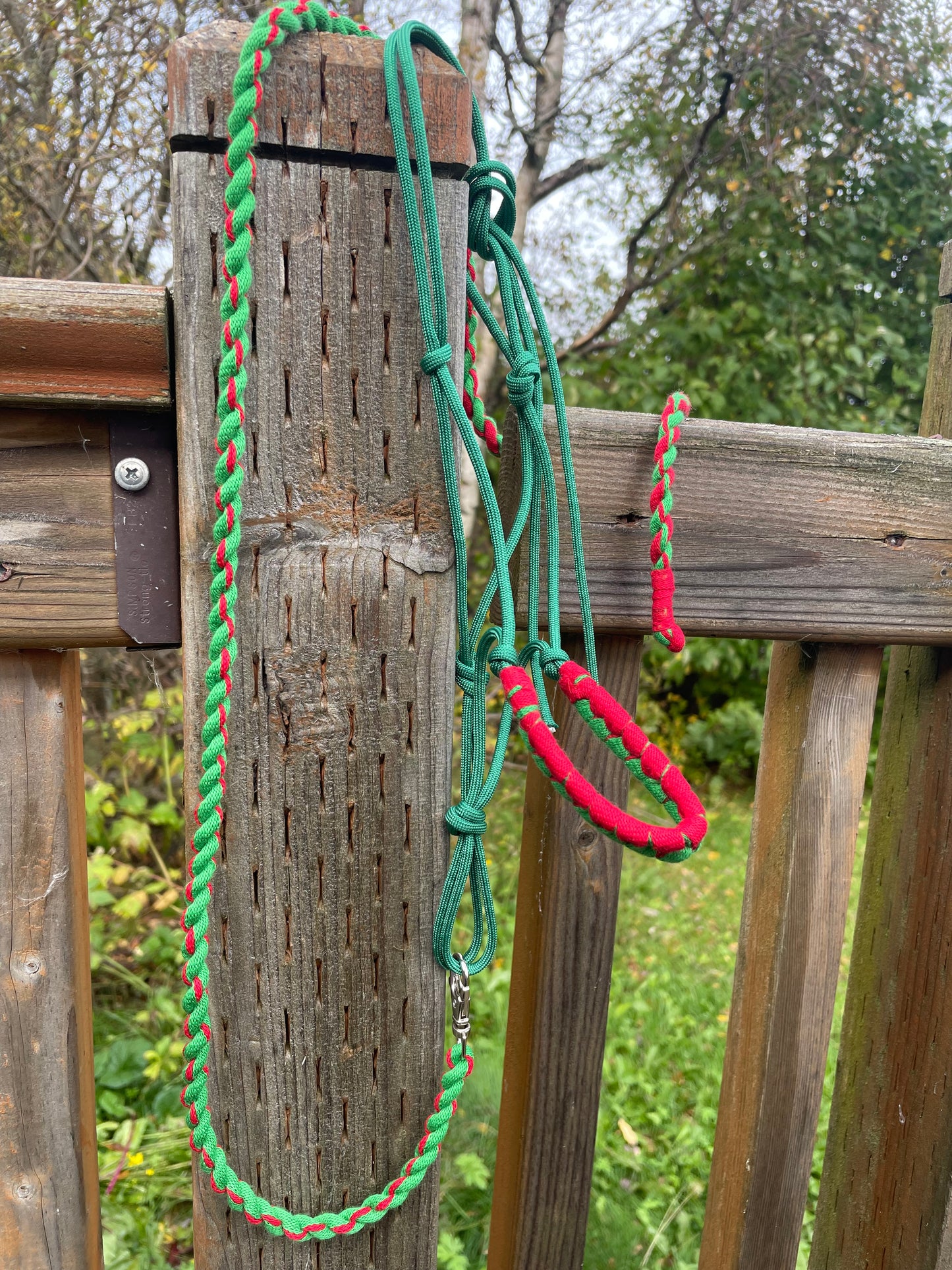 Green and red hobby horse halter and lead rope tied to a wooden post with a natural background