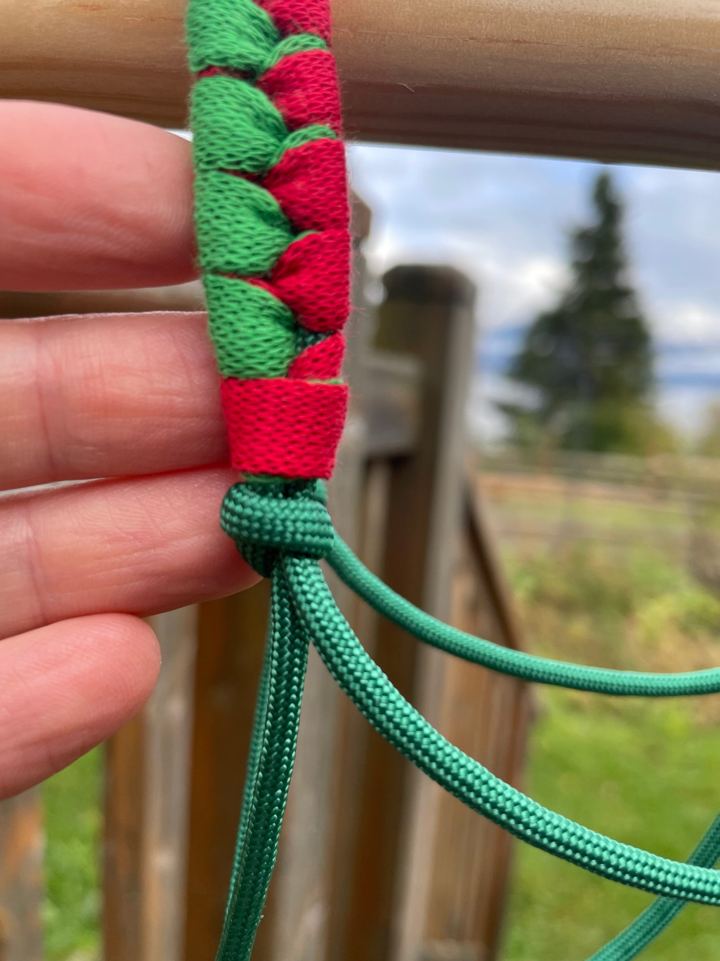 Close-up of a hand holding a green and red braided hobby horse halter with a blurred outdoor background.