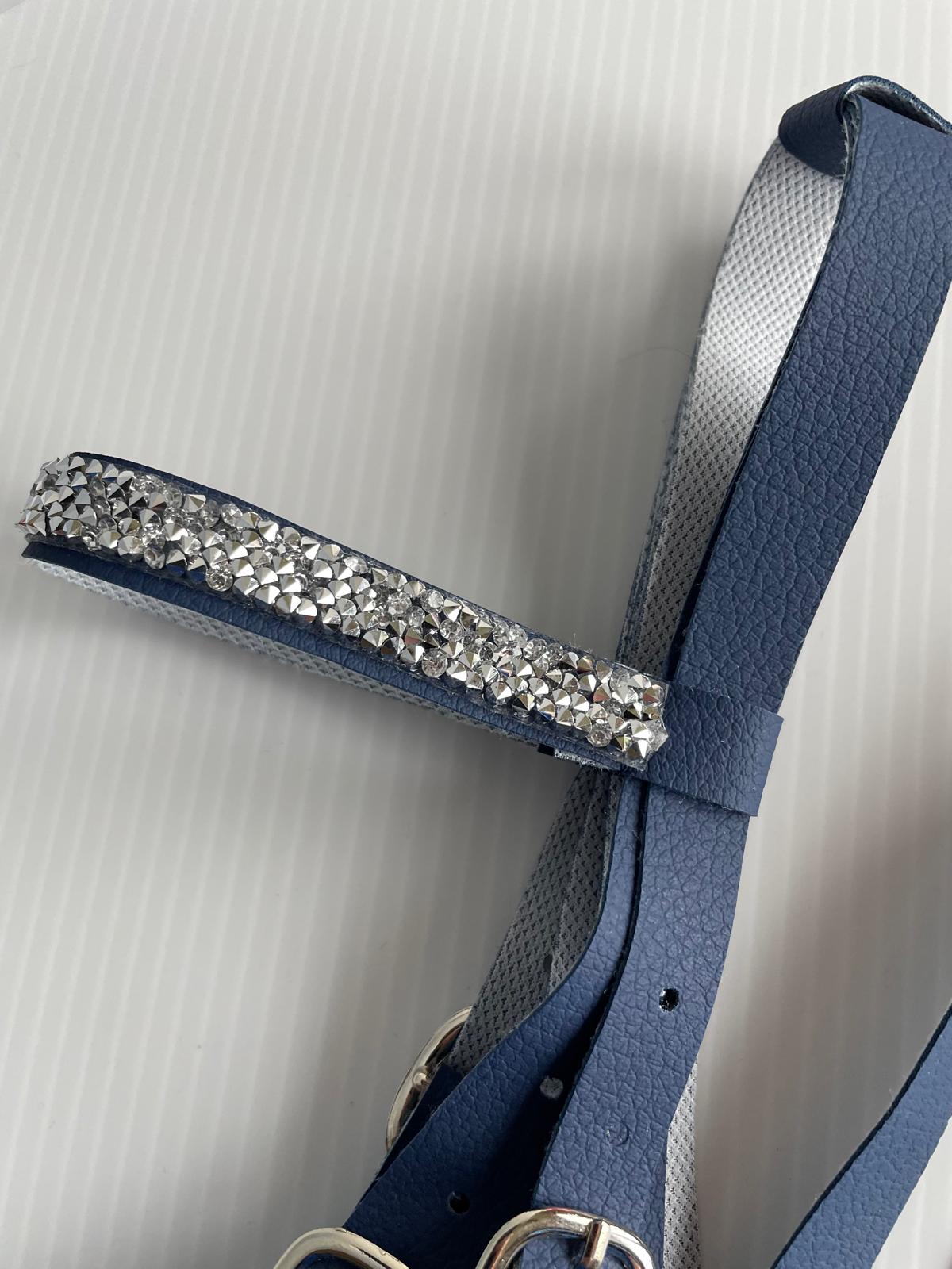 Blue leather bridle with silver embellishments on a white background