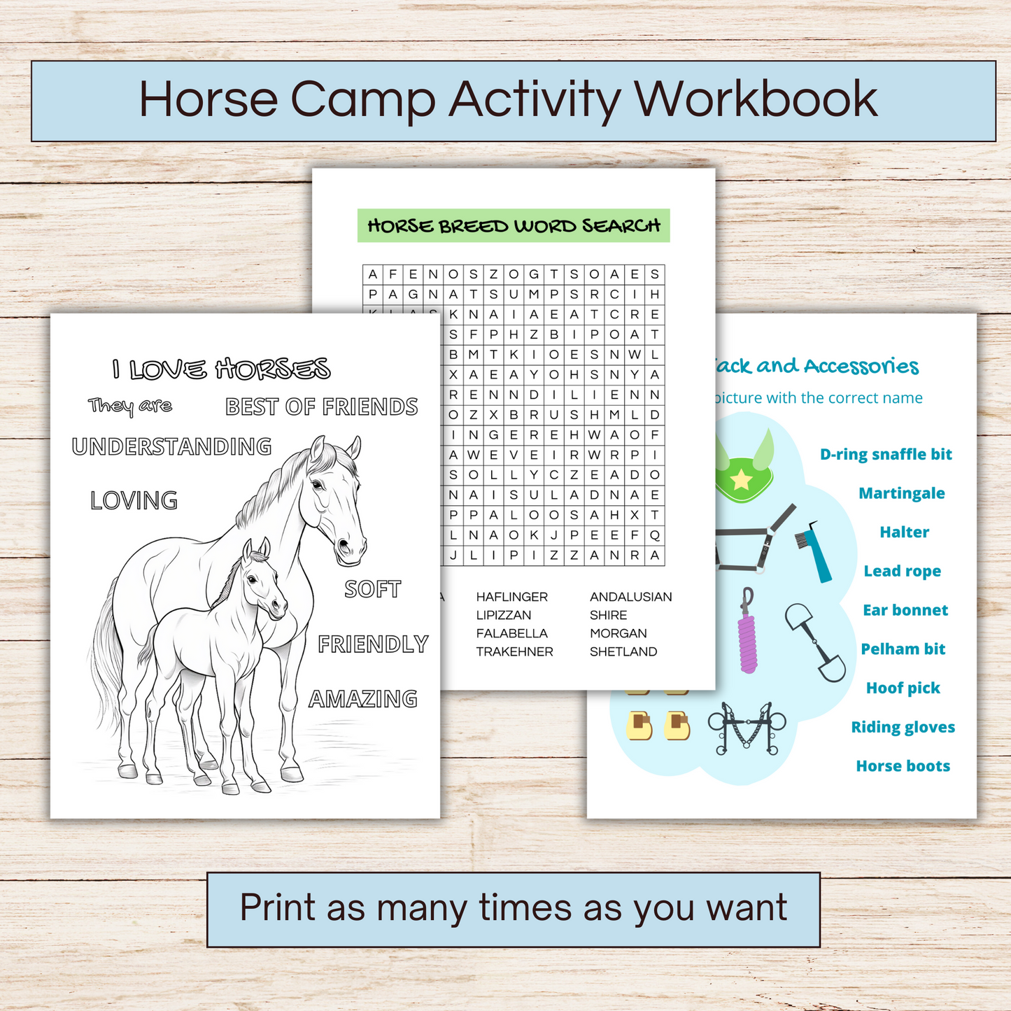 Horse camp activity book showing 3 pages
