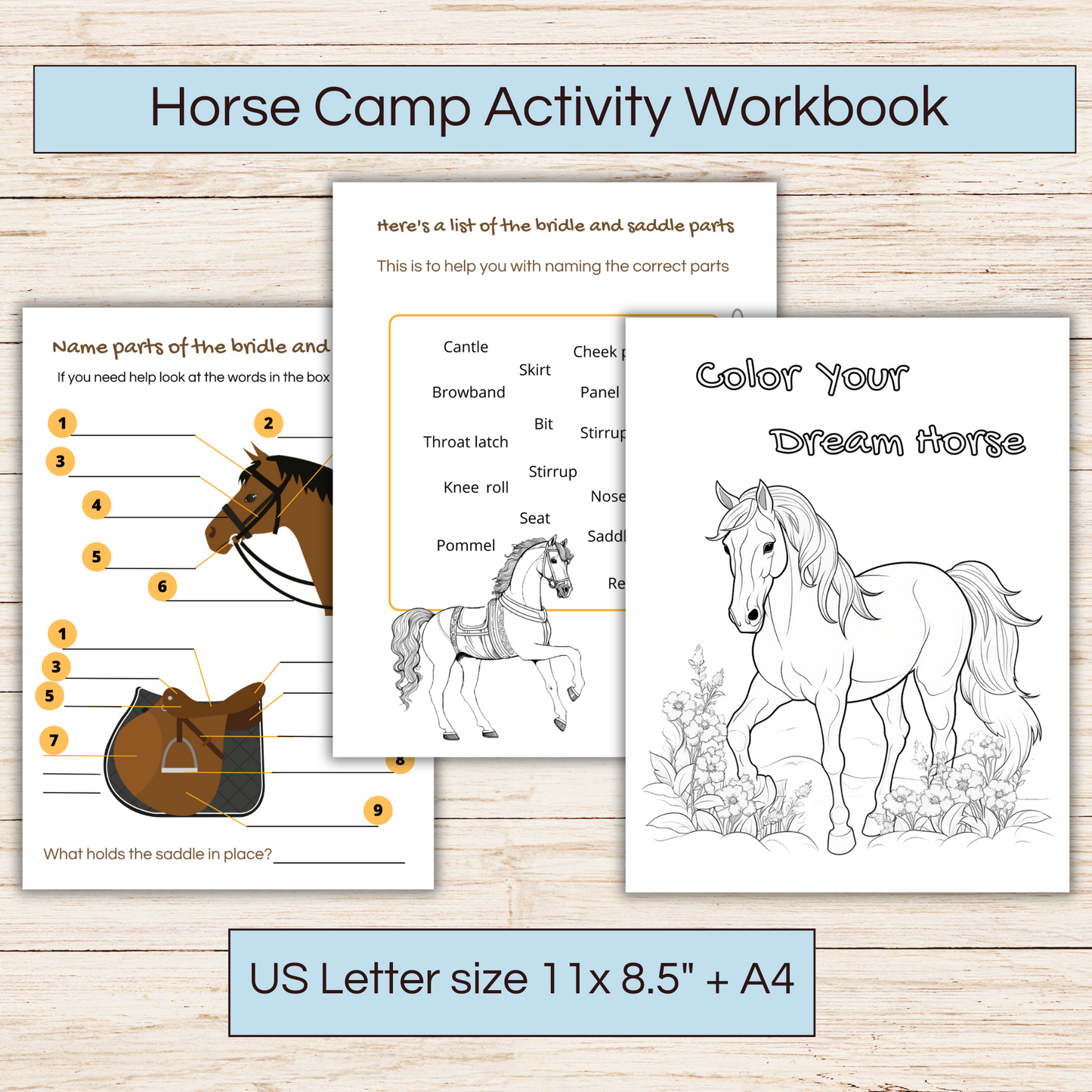Horse camp activity book showing 3 pages