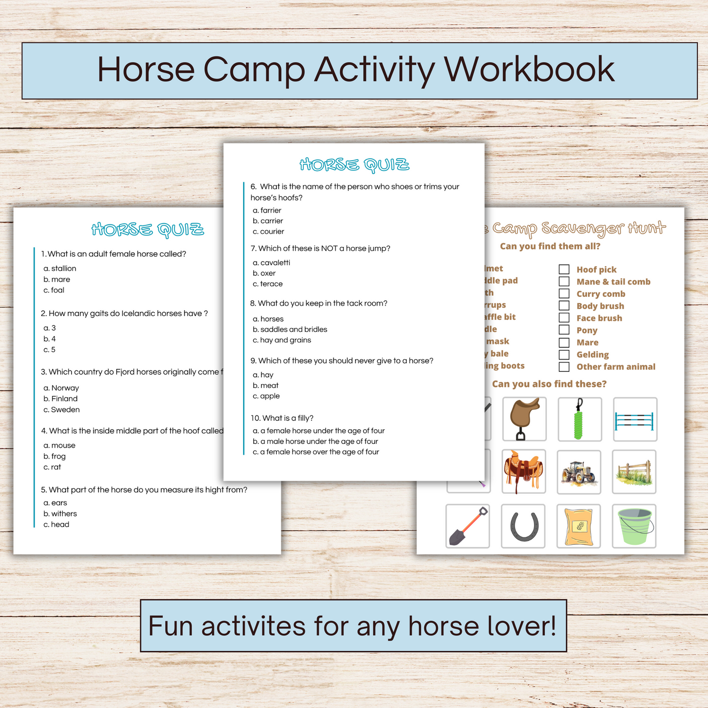 Horse camp activity book showing 3 pages