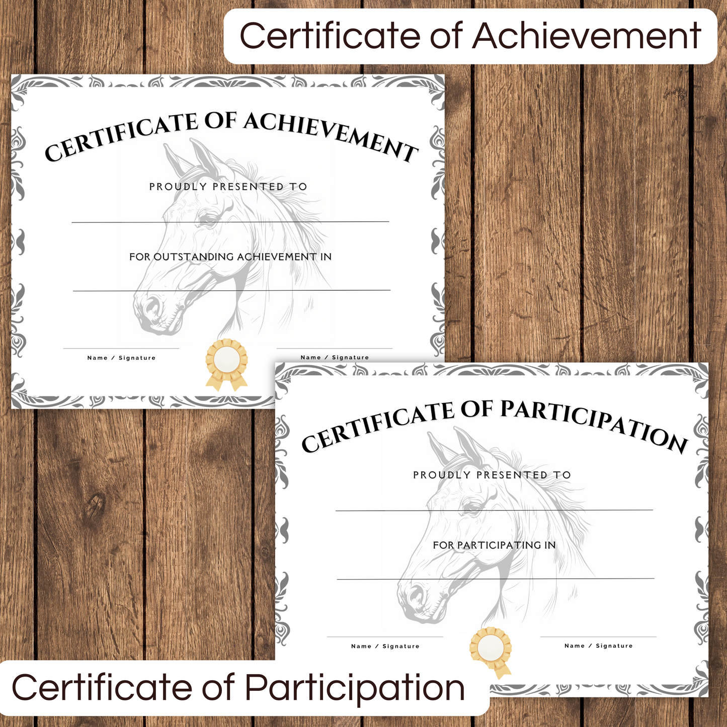 2 horse certificates on a dark wooden background. Equestrian certificate of achievement and horse certificate of participation.