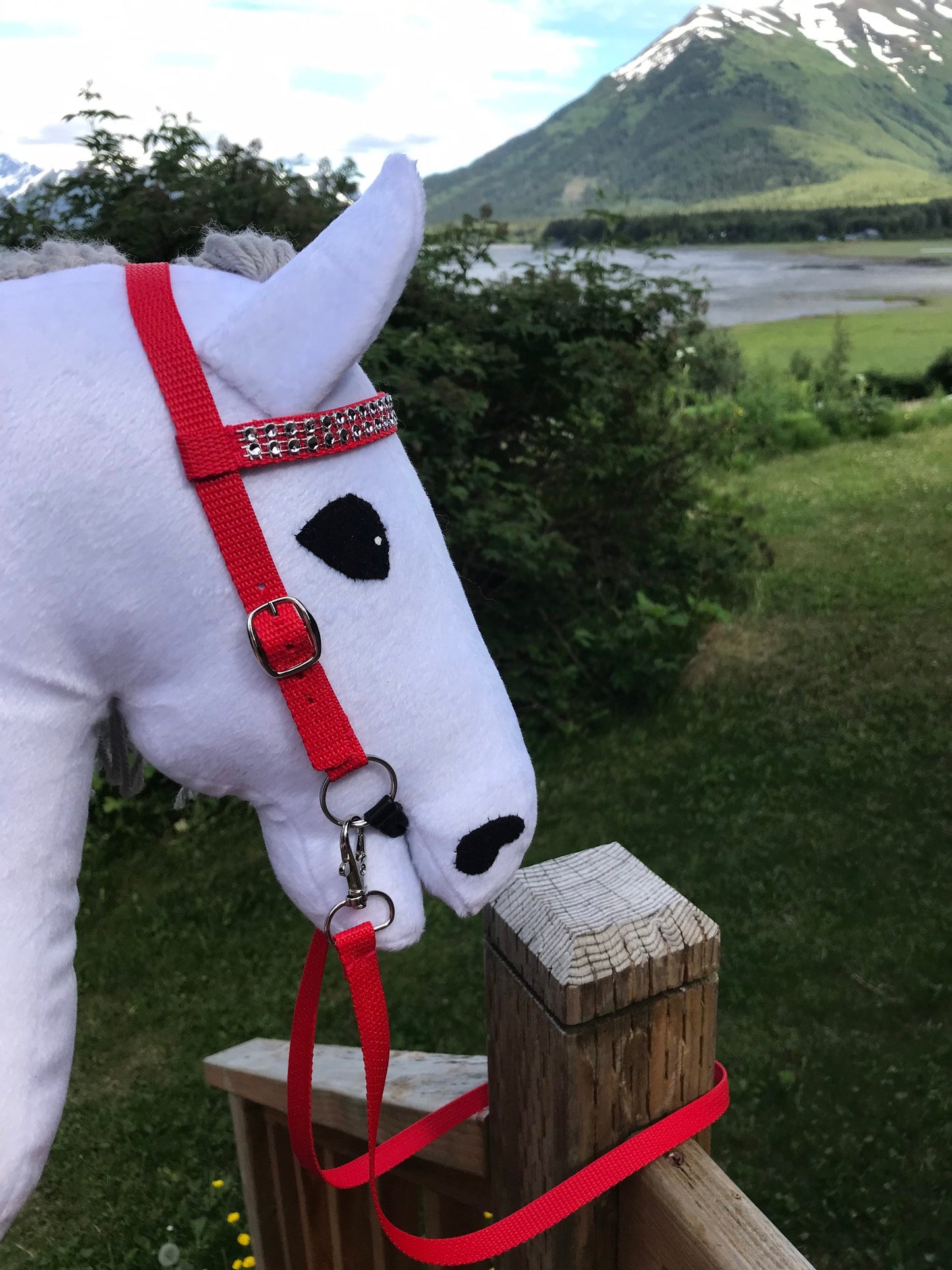 White hobby horse wearing a red bridle with bling on the nose band