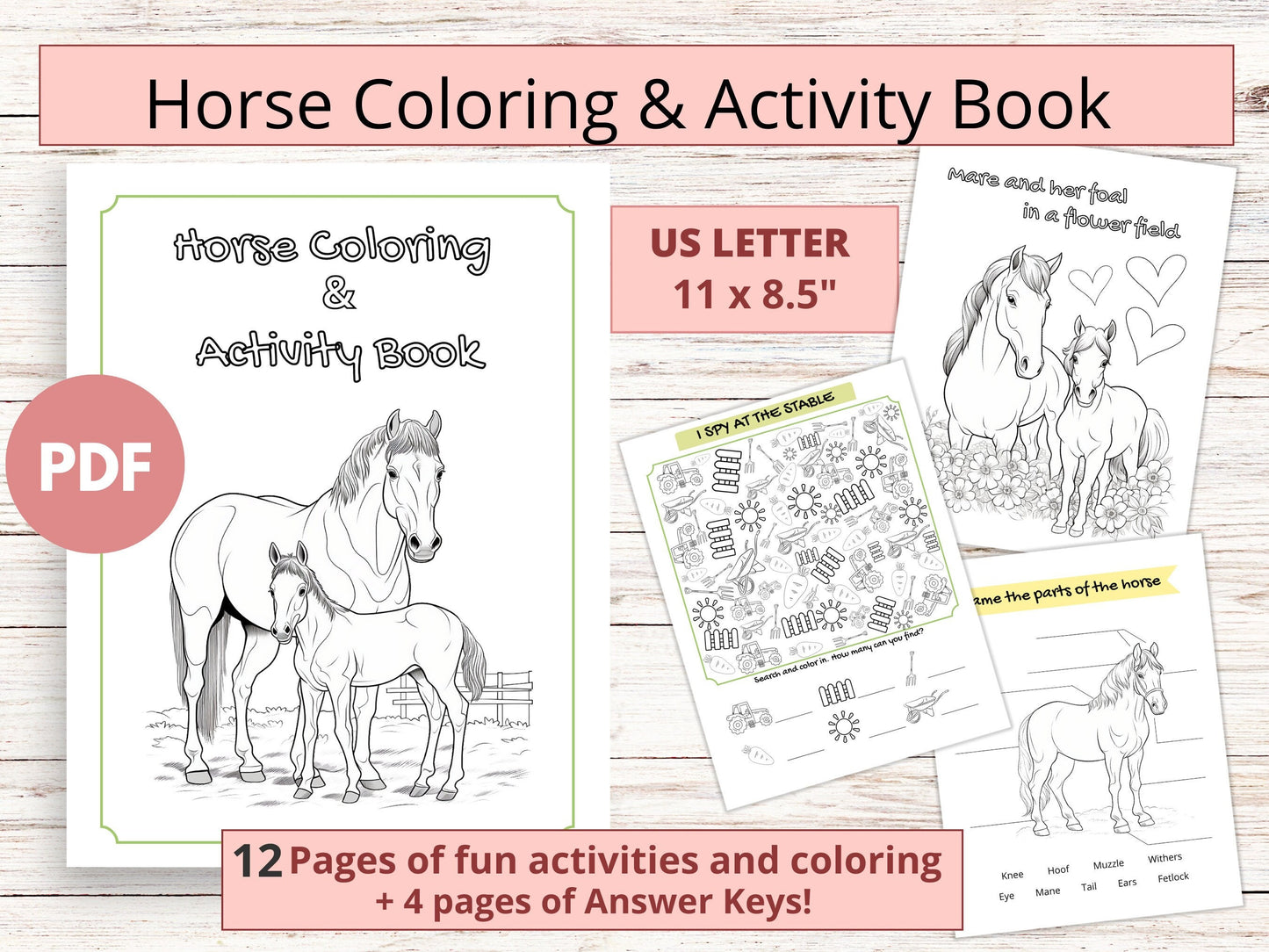 Printable horse coloring&activity book for kids, horse camp activity booklet, horse workbook, digital horse activity sheets for kids