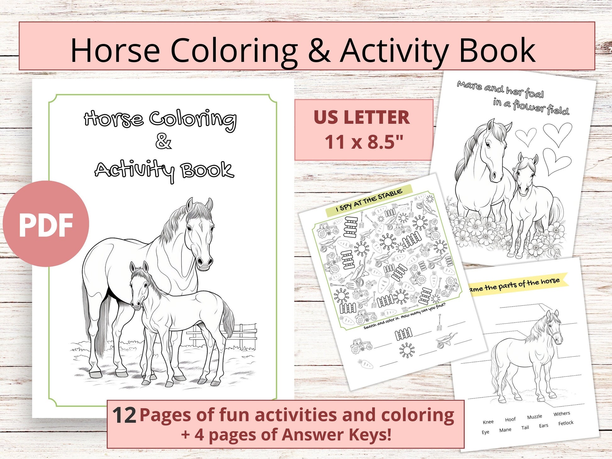 Printable horse coloring&activity book for kids, horse camp activity booklet, horse workbook, digital horse activity sheets for kids
