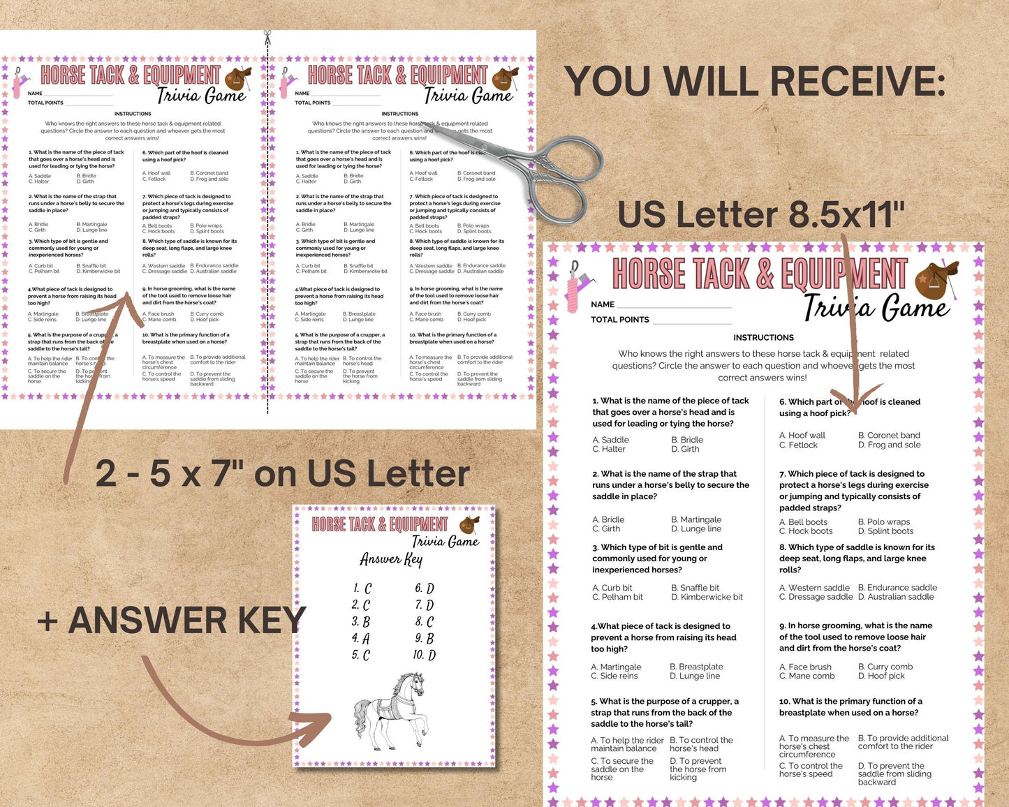 Printable Horse Tack&Equipment Trivia Game, Equestrian Trivia, Equestrian Learning, Horse Birthday Party Game, Horse Quiz, Horse Trivia