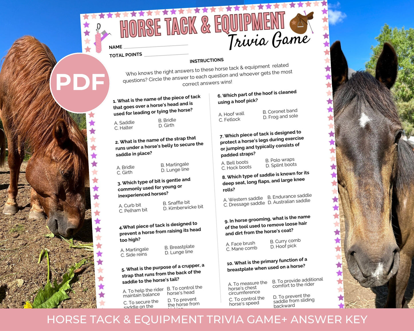 Printable Horse Tack&Equipment Trivia Game, Equestrian Trivia, Equestrian Learning, Horse Birthday Party Game, Horse Quiz, Horse Trivia