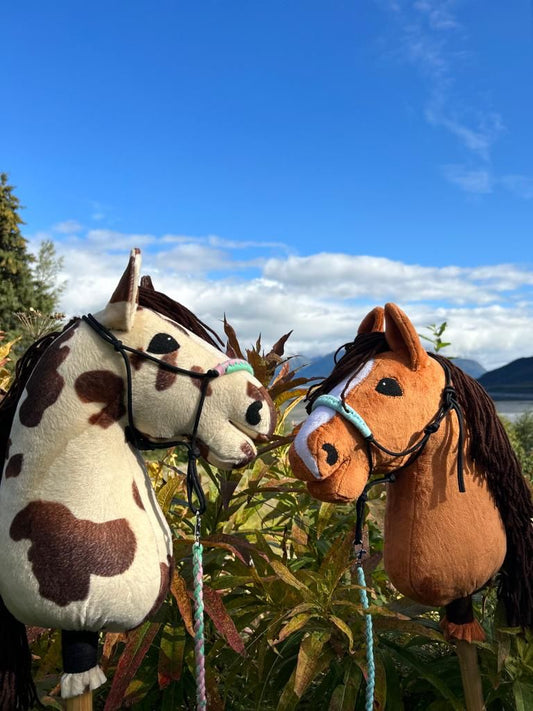 Two hobby horses out on a sunny day