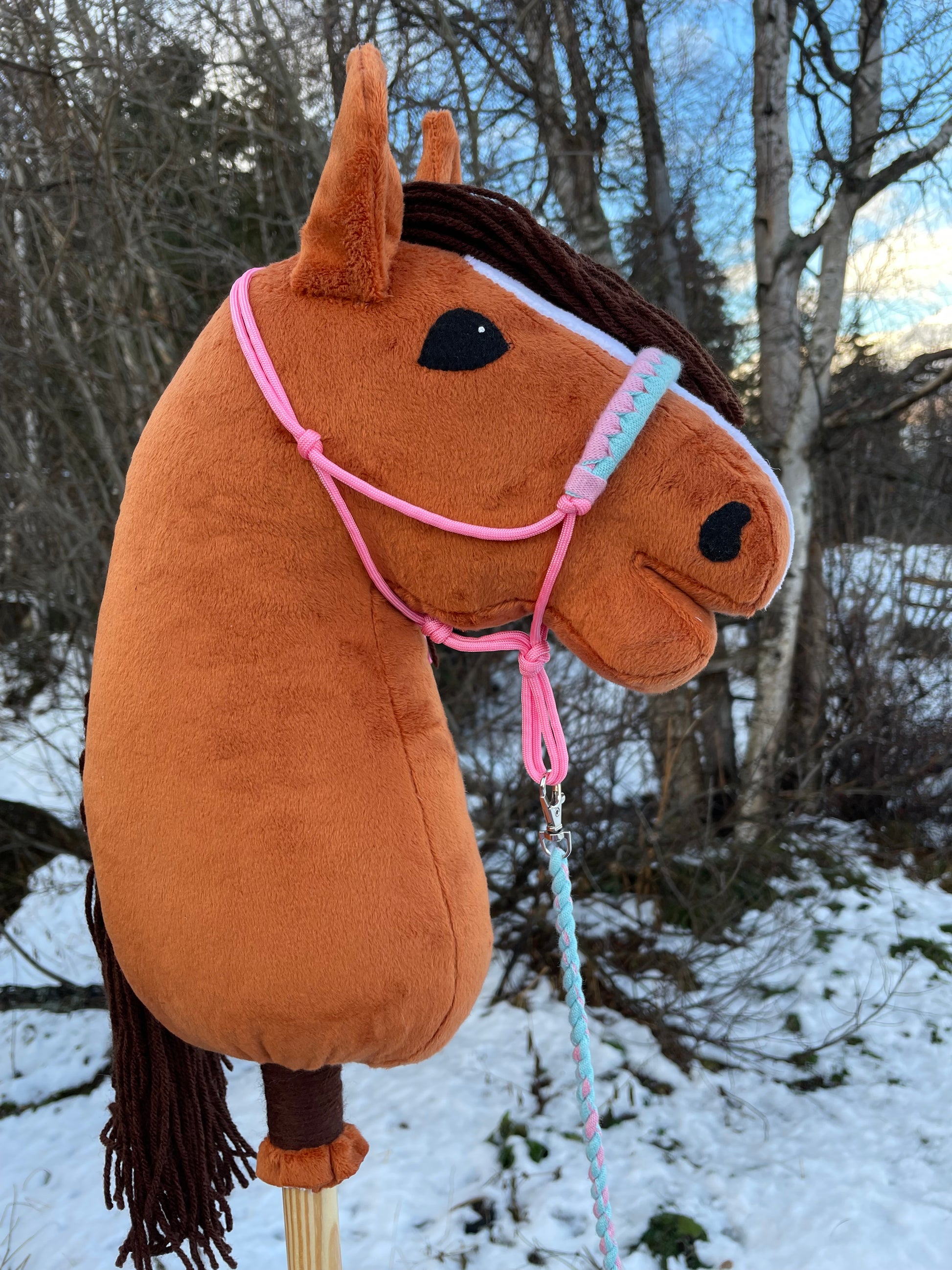 Hobby horse chestnut with a pink halter outside on snowy background