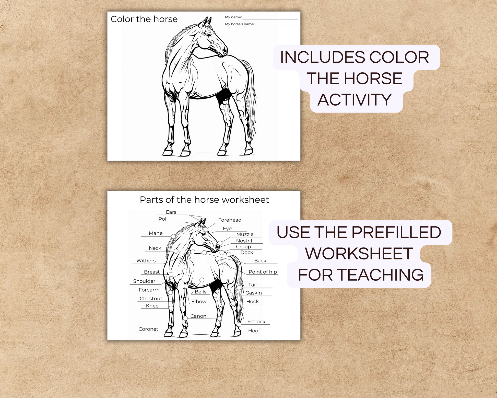 Color the horse activity and prefilled parts of the horse worksheet printable