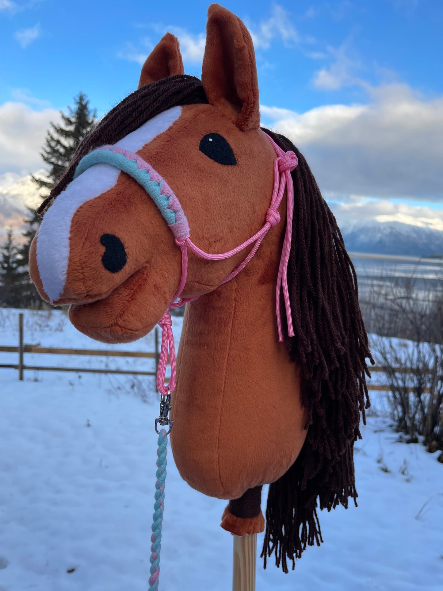 Hobby horse chestnut with a pink halter outside on snowy background