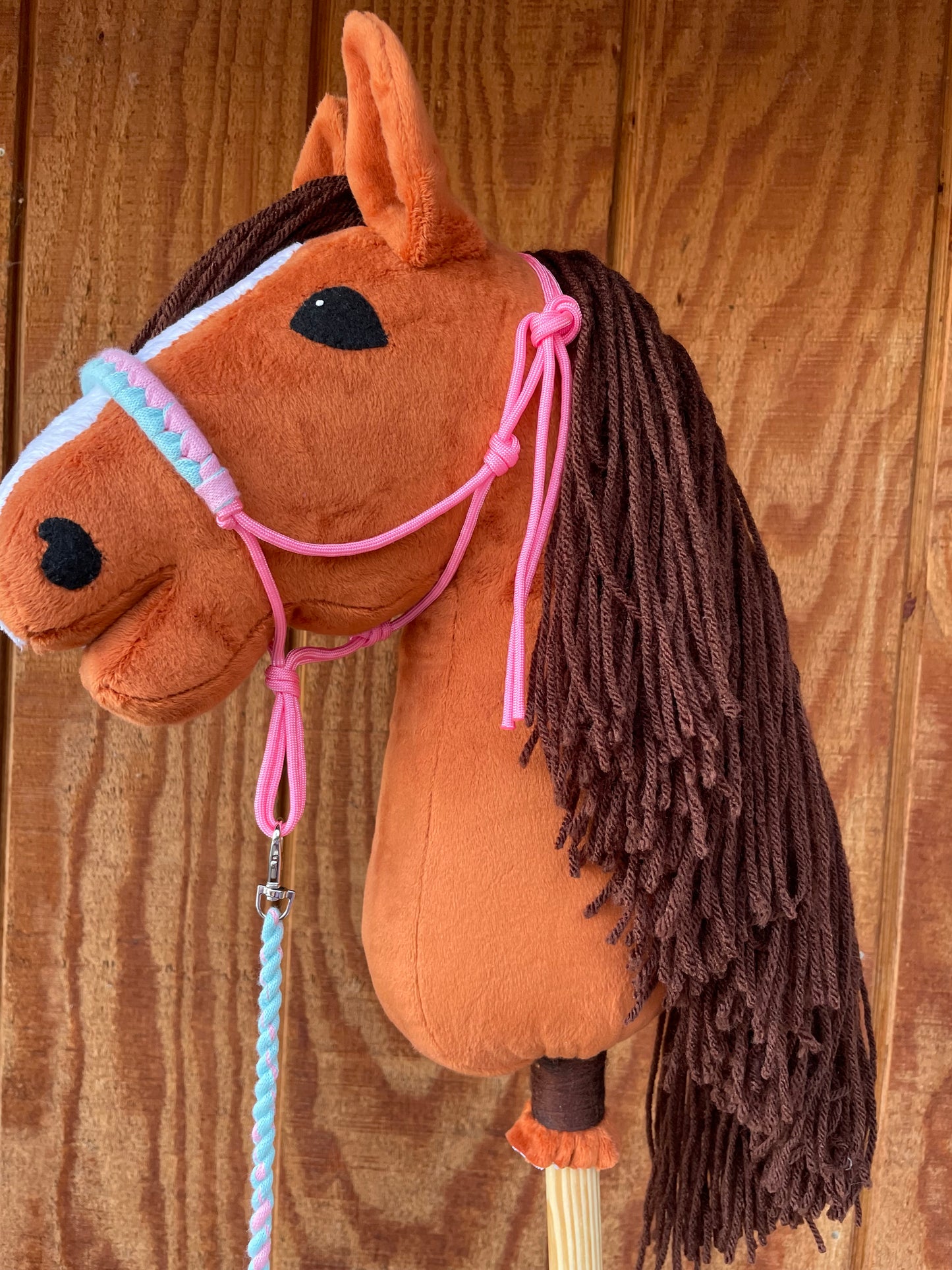 Hobby horse chestnut with a pink halter. Horse is on a wooden background. 