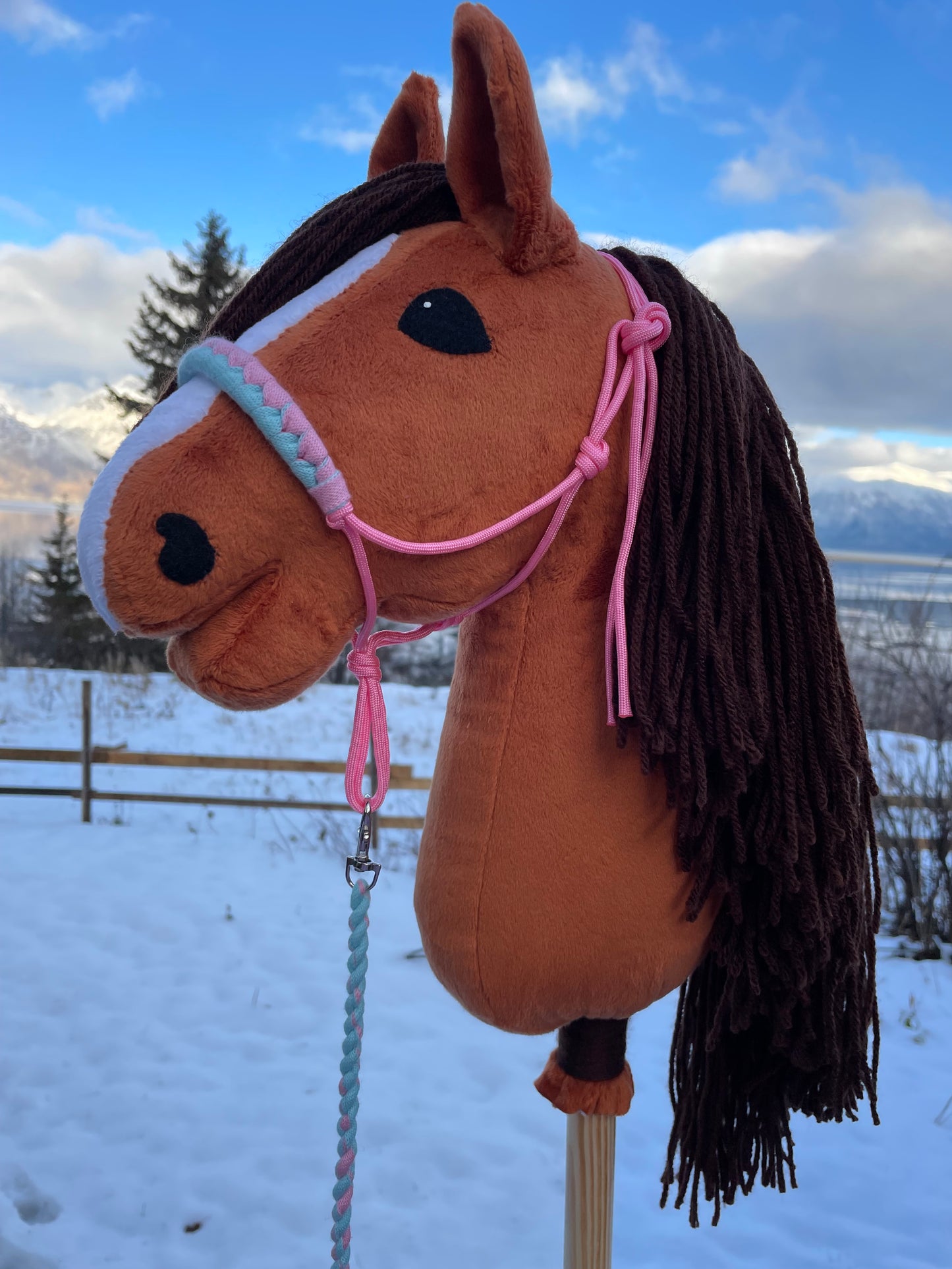 Hobby horse chestnut with a pink halter outside on snowy background