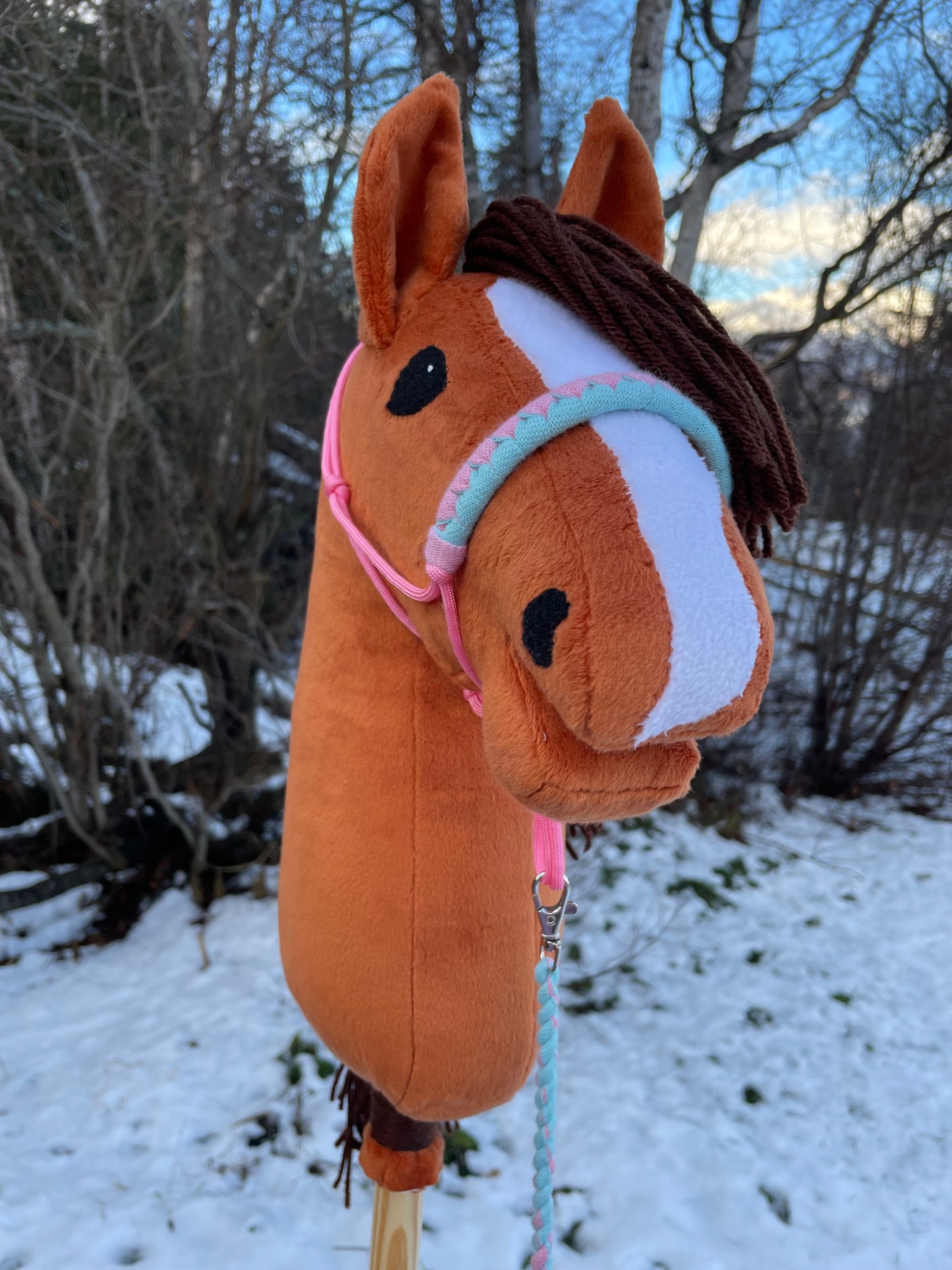 Hobby horse chestnut with a pink halter outside on snowy background