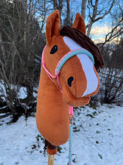 Hobby horse chestnut with a pink halter outside on snowy background