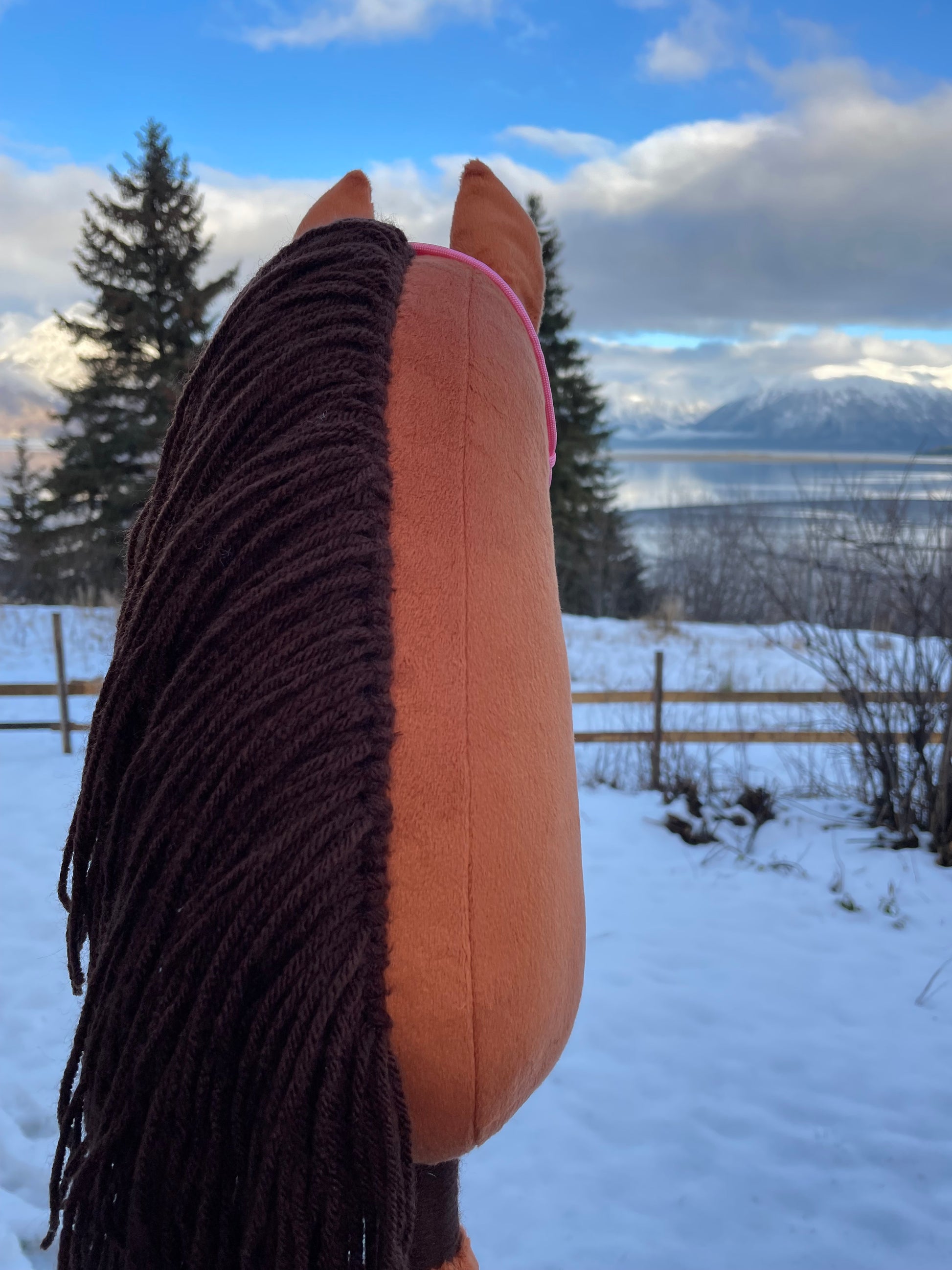 Hobby horse chestnut with a pink halter outside on snowy background. Picture showing the back of the horse.