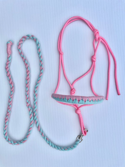 Hobby horse halter pink and a lead rope that is pink and turquoise on a white background.