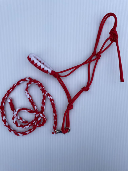 hobby horse rope halter and lead rope red and white