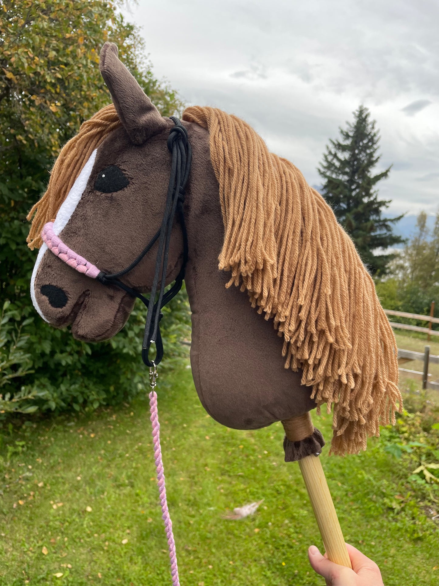 Brown plush hobby horse toy on a grassy background. Horse has a rope halter on. It has pink and purple on it