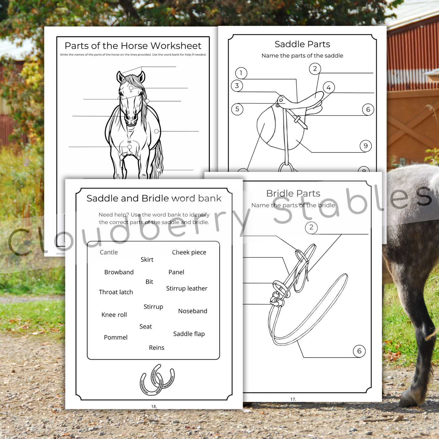 Horse Camp Activity and coloring workbook printable, showing 4 pages of activities: parts of saddle and bridle as well as parts of the horse worksheet. Pages are black and white. Summery background. 
