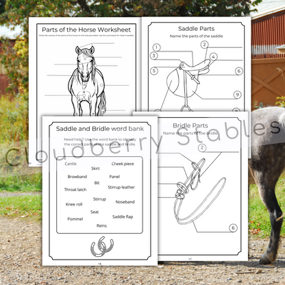 Horse Camp Activity and coloring workbook printable, showing 4 pages of activities: parts of saddle and bridle as well as parts of the horse worksheet. Pages are black and white. Summery background. 
