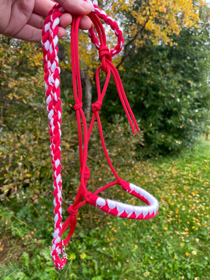 hobby horse rope halter and lead rope red and white