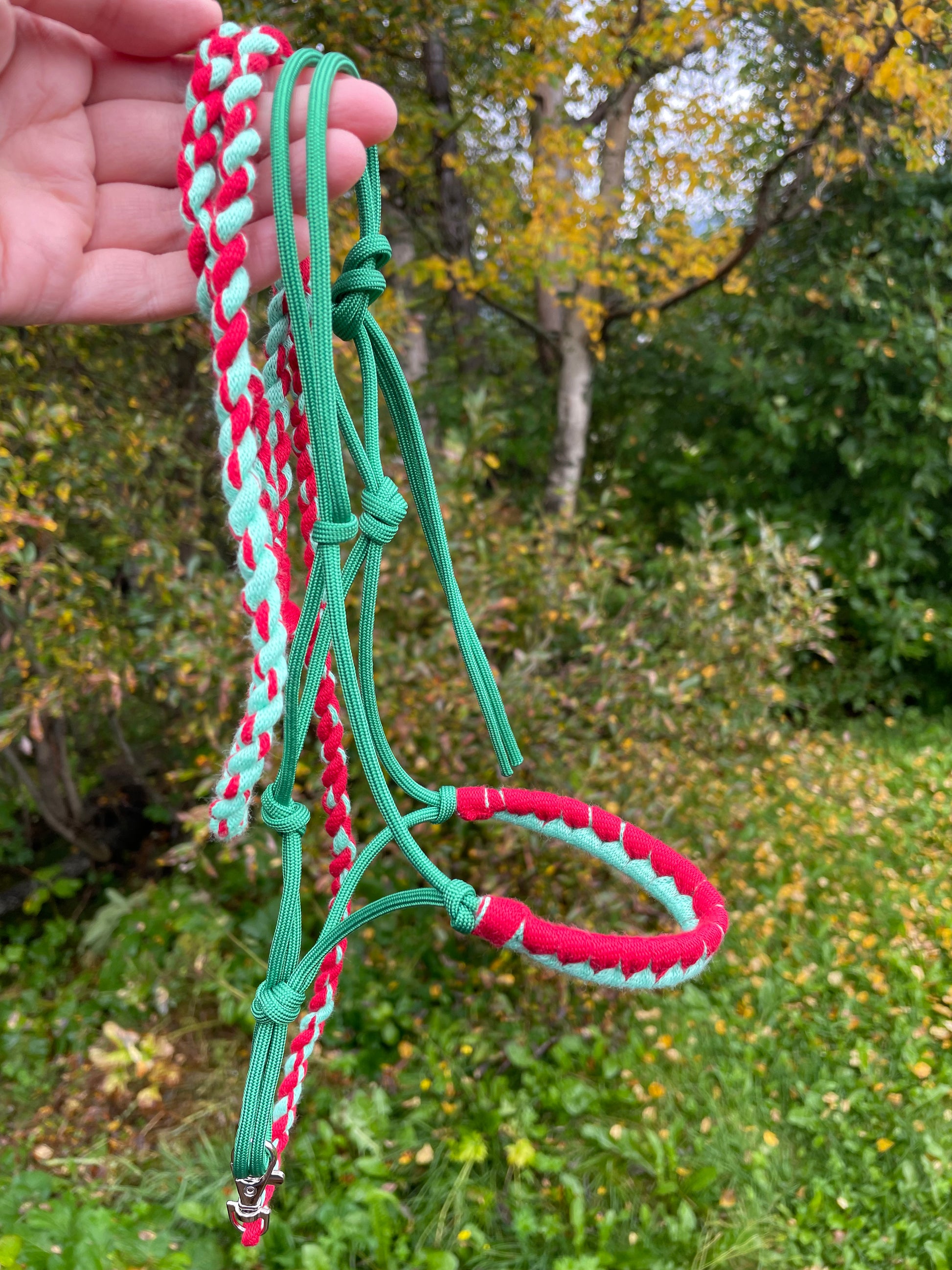 hobby horse rope halter and lead rope green and red