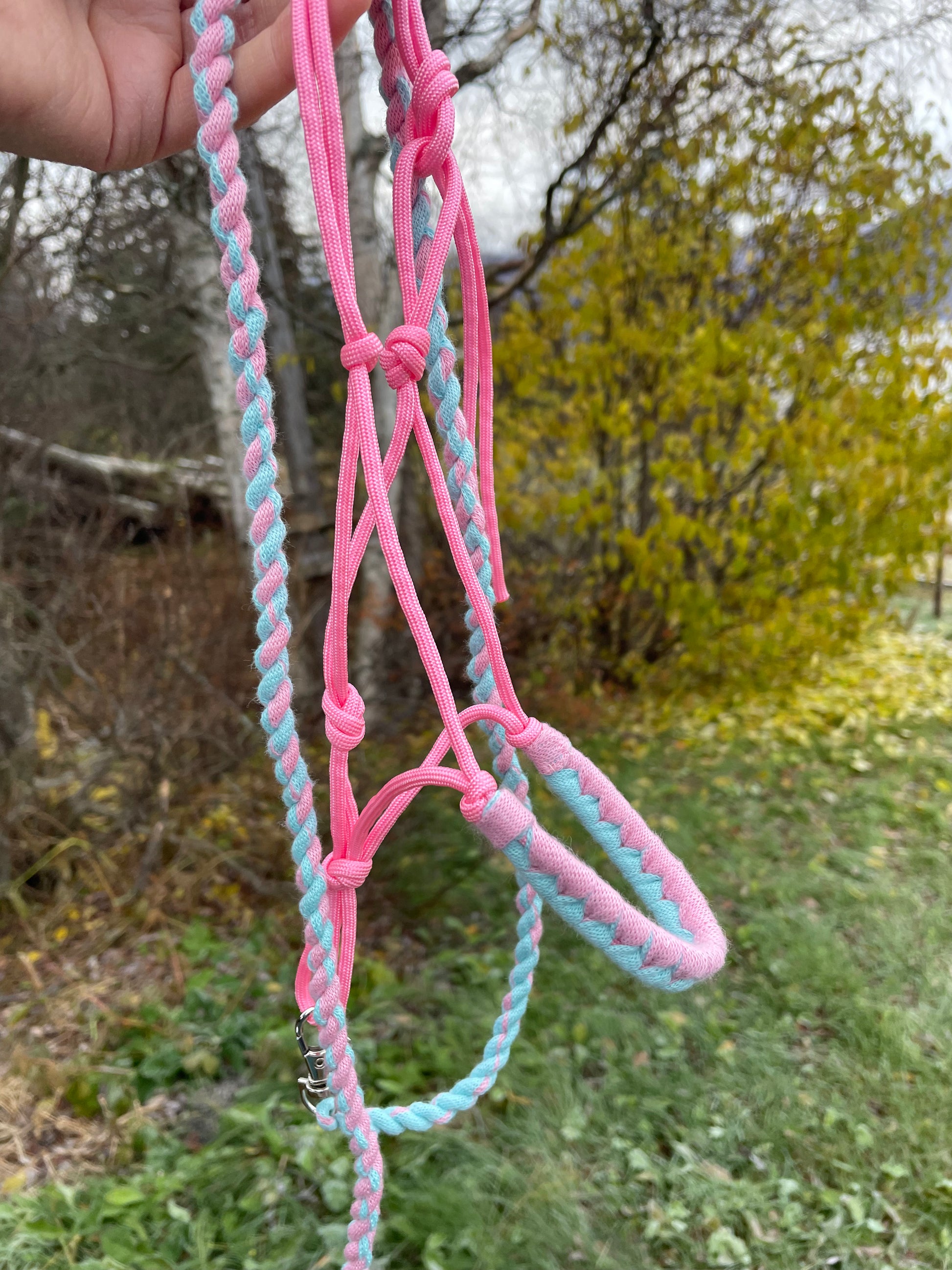 Hobby horse halter pink and lead rope on a green nature background. Halter is being held in a hand and it is hanging. 