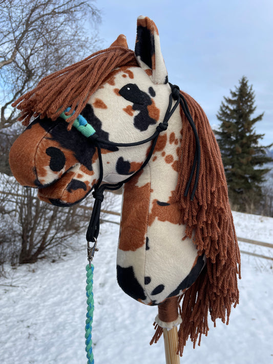 Hobby horse paint or pinto on a snowy background. The horse is brown, cream and black color and has a halter on. 