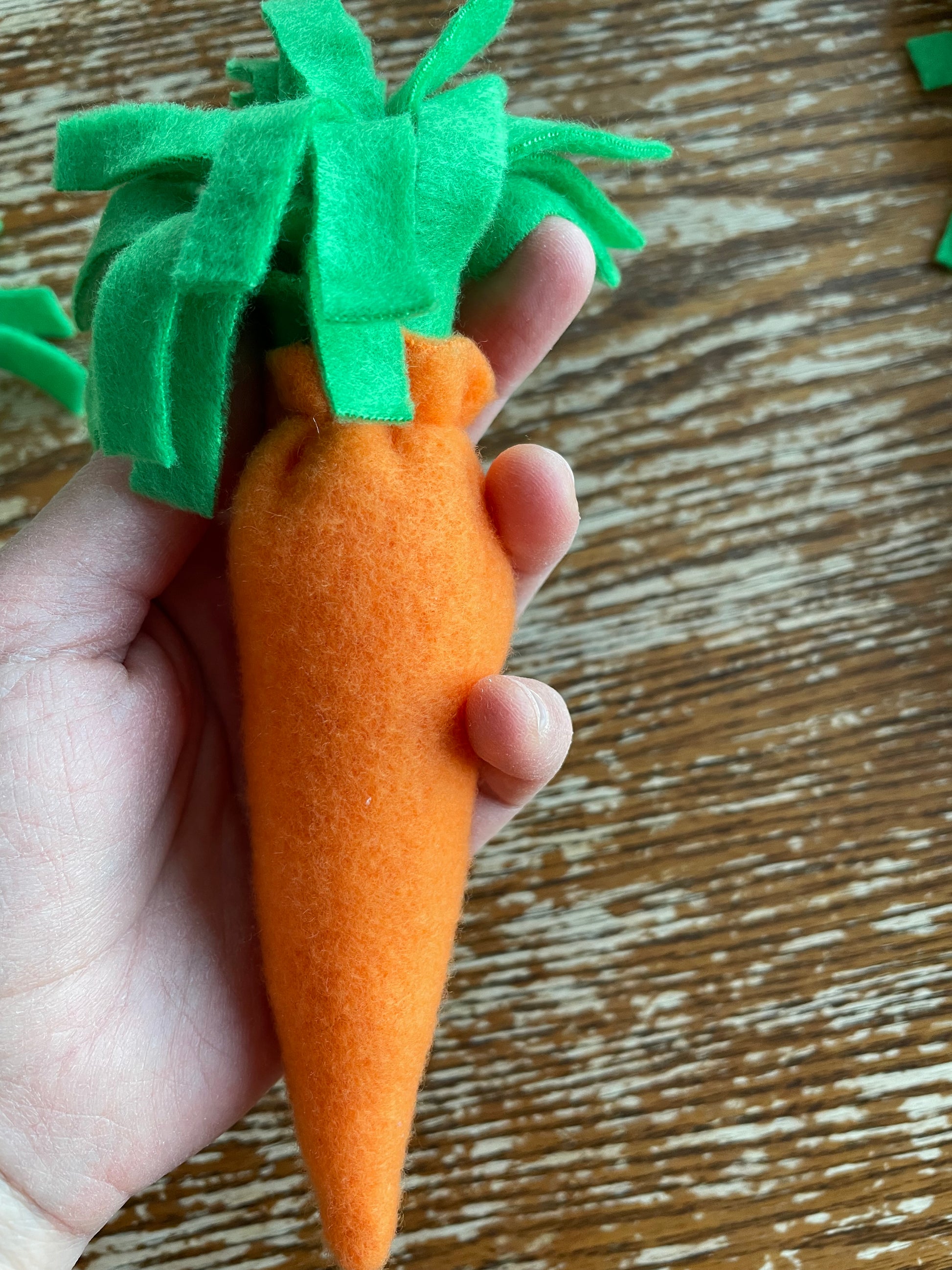 Hobby horse carrot on a wooden backround. Hand holding a carrot.