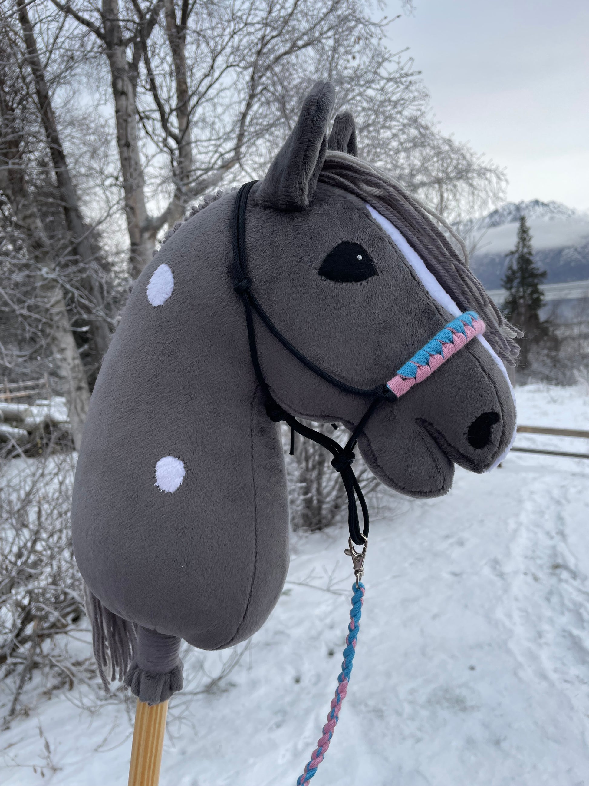 Hobby Horse dark gray with halter. Outside on a snowy background.