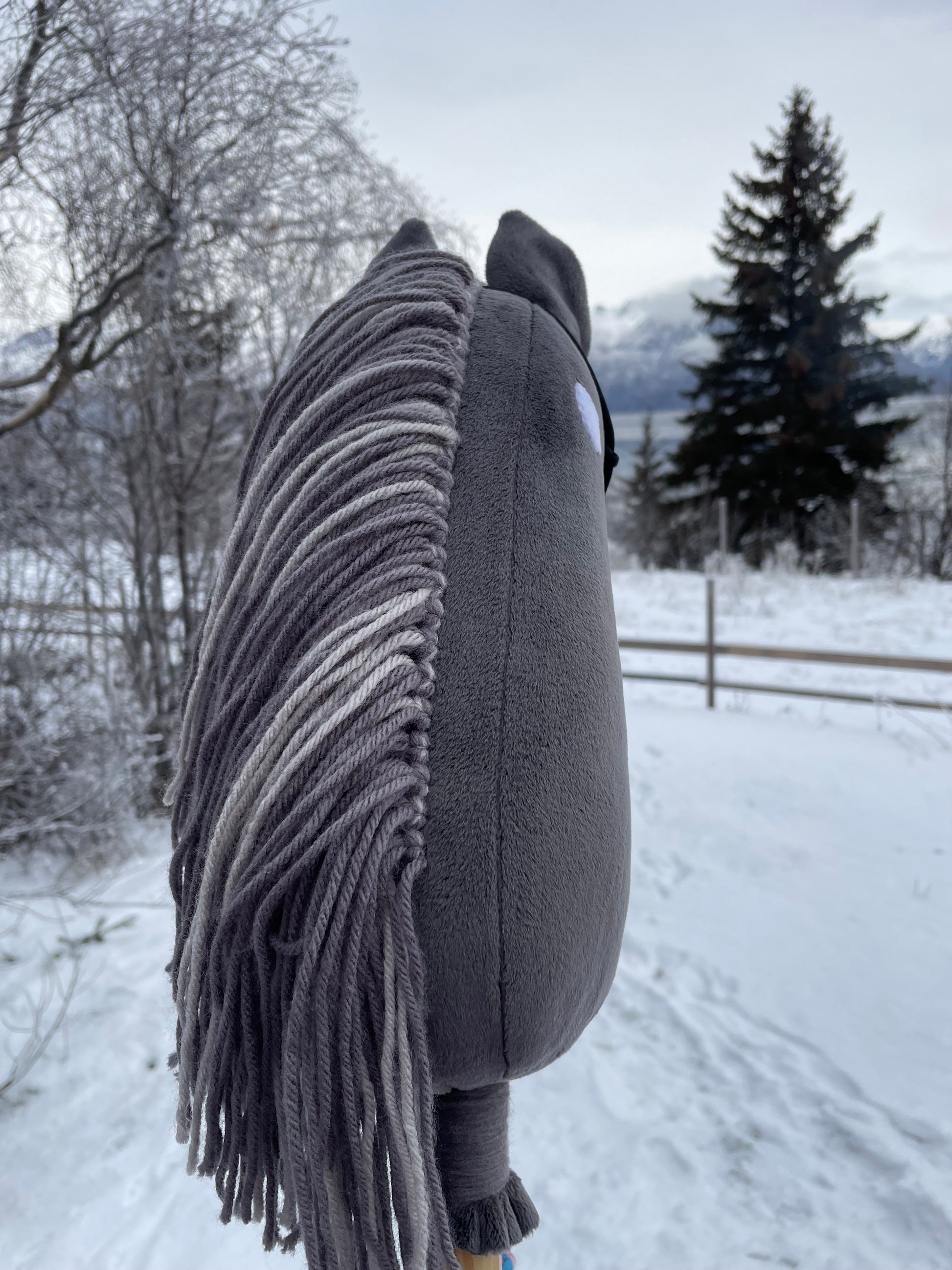 Hobby Horse dark gray with halter. Outside on a snowy background. Showing back of the horse.