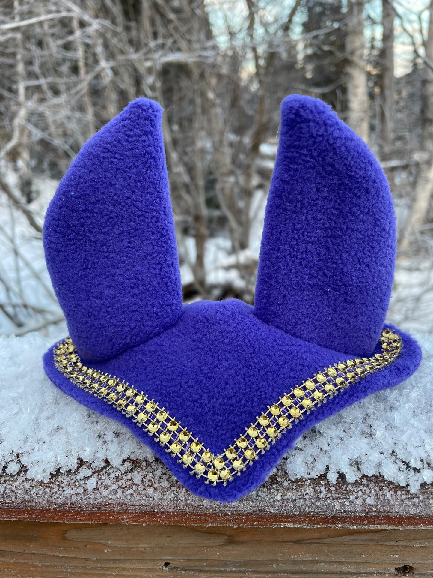 Hobby horse ear bonnet in dark purple. It has golden bling on it. Background is snowy picture.