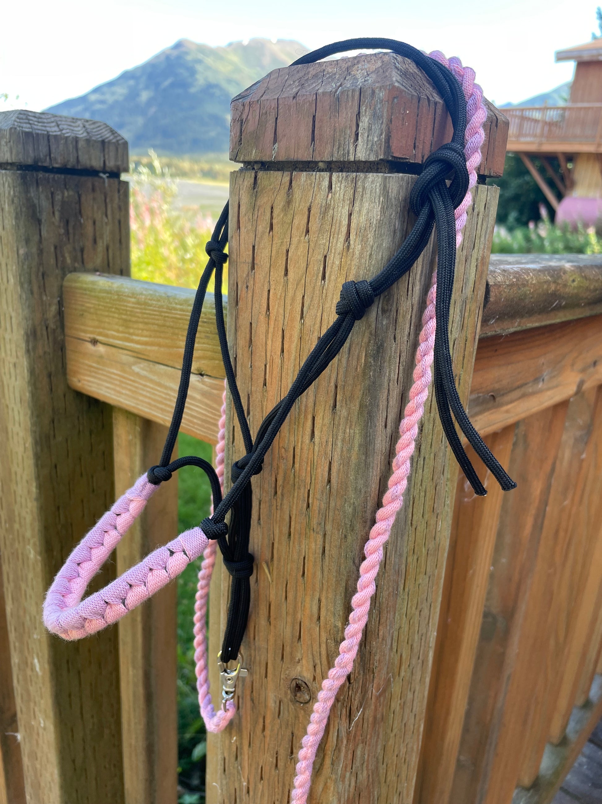 Black hobby horse rope halter with pink and purple on wooden surface outside.