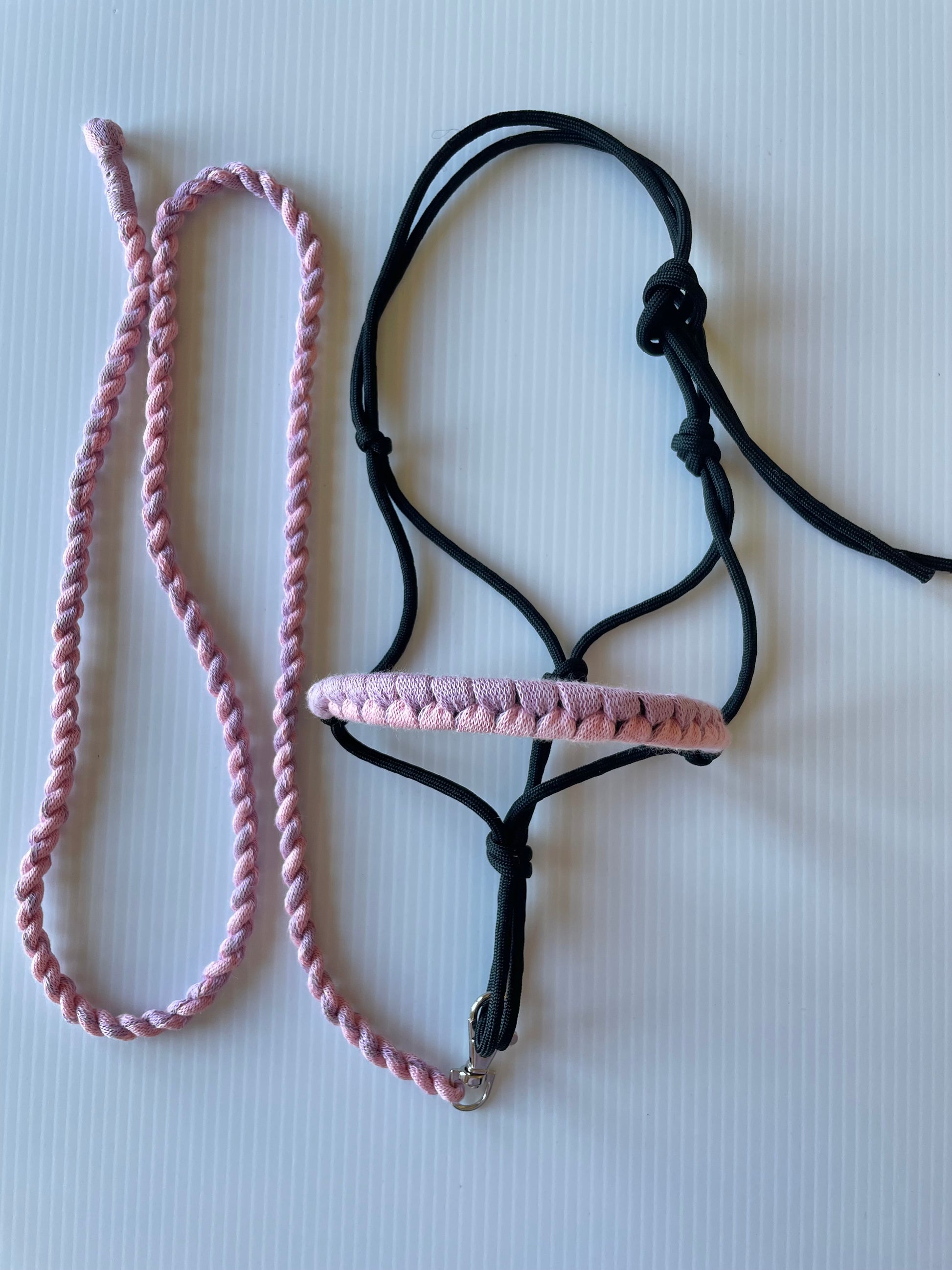 Black hobby horse rope halter with pink and purple and lead rope on white surface. 