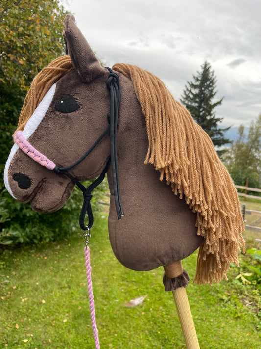 Brown plush hobby horse toy on a grassy background. Horse has a rope halter on. It has pink and purple on it. 