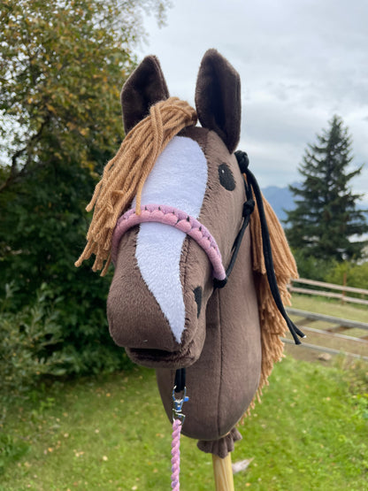 Brown plush hobby horse toy on a grassy background. Horse has a rope halter on. It has pink and purple on it.