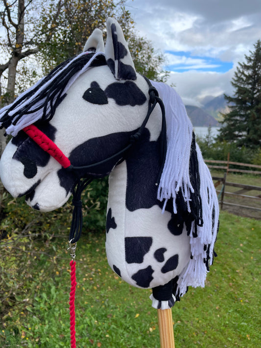 Hobby horse pinto or black and white with a red rope halter and lead on a grassy background.
