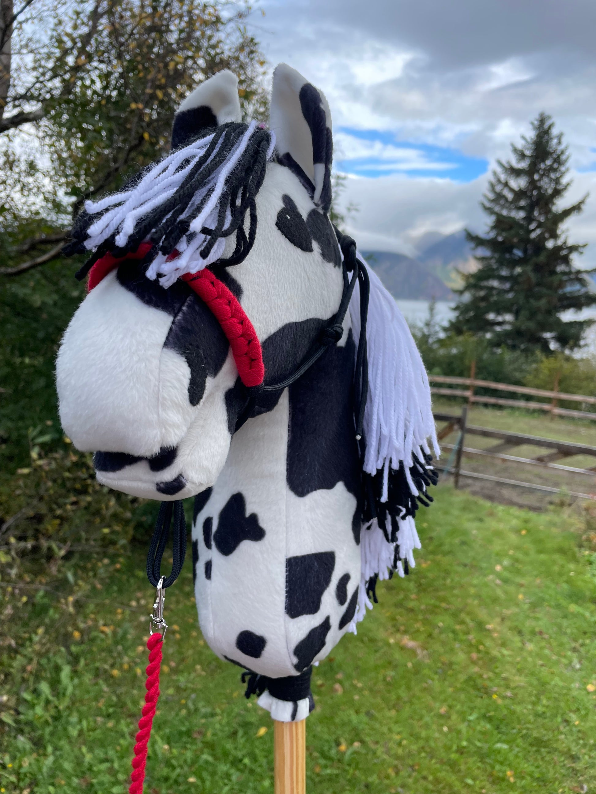 Hobby horse pinto or black and white with a red rope halter and lead on a grassy background.