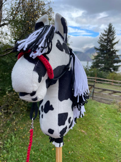 Hobby horse pinto or black and white with a red rope halter and lead on a grassy background.