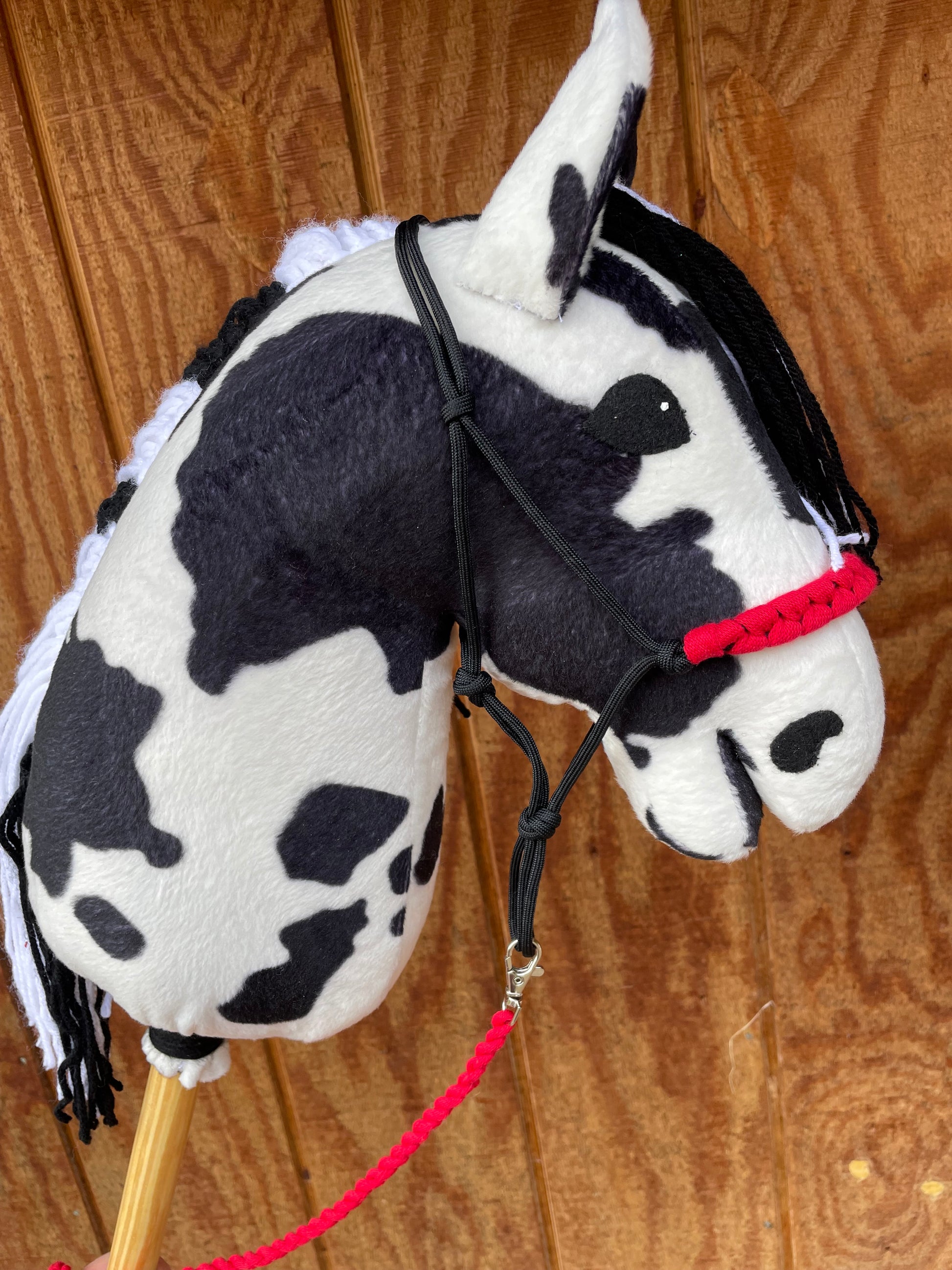 Hobby horse pinto or black and white with a red rope halter and lead on a wooden background.