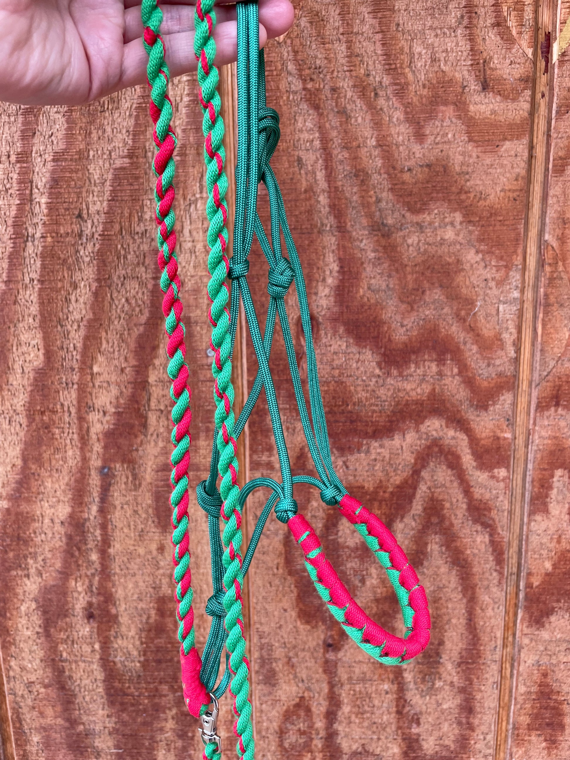 Green and red hobby horse halter and lead rope held by a hand on a wooden surface