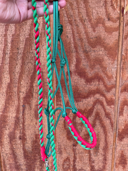 Green and red hobby horse halter and lead rope held by a hand on a wooden surface