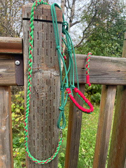 Green and red hobby horse halter and lead rope tied to a wooden post with a natural background
